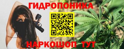 винт Дубна