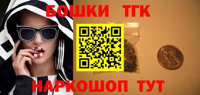 винт Дубна