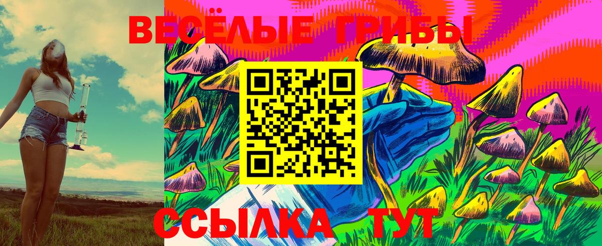 Курчалой  Псилоцибиновые грибы прущие грибы  Вход с VPN 